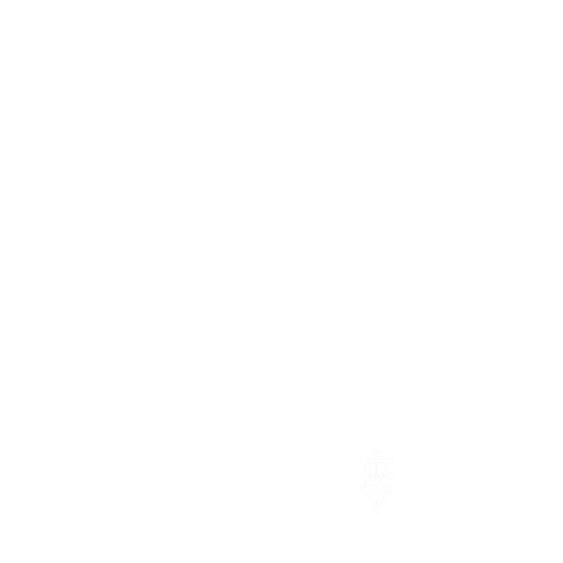 Human Design Sintesi